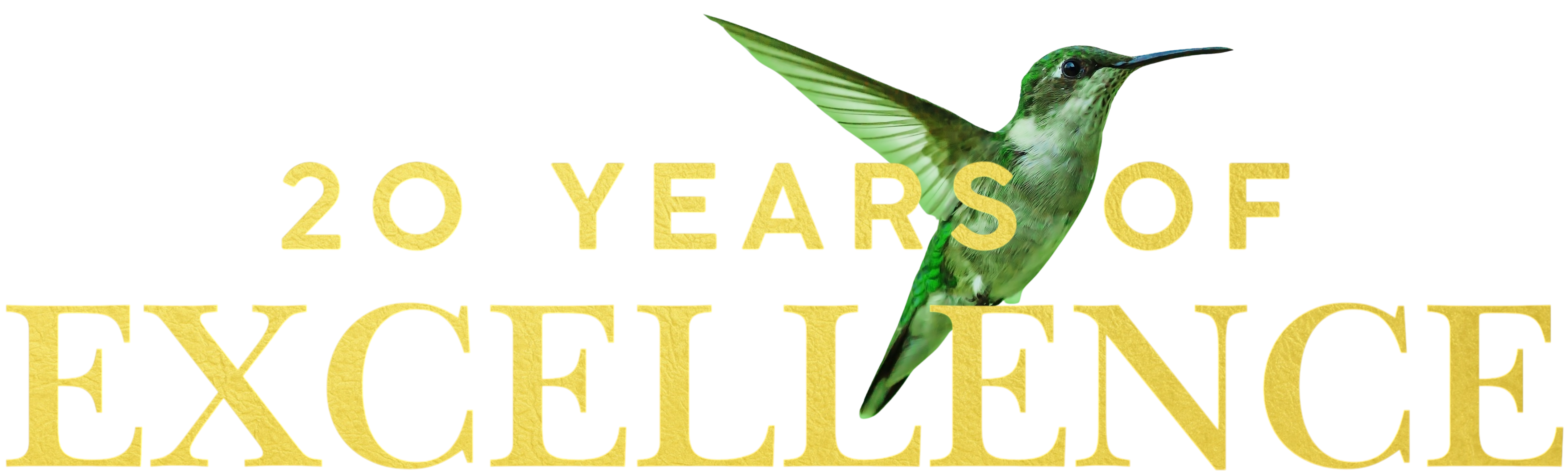 20 Years of Excellence